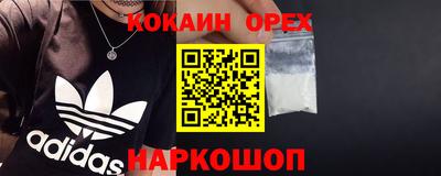 гашик Дубна
