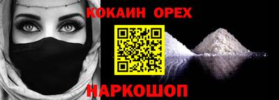 гашик Дубна