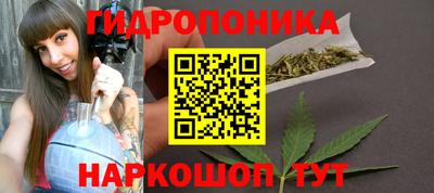 гашик Дубна