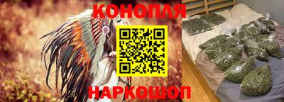 гашик Дубна