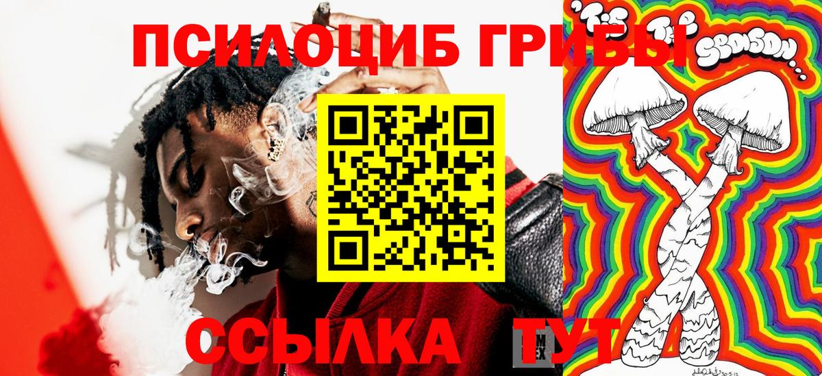 Калининград  Псилоцибиновые грибы Cubensis  Вход с VPN 